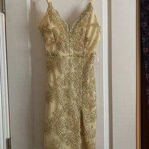 Windsor Homecoming or Formal Dress